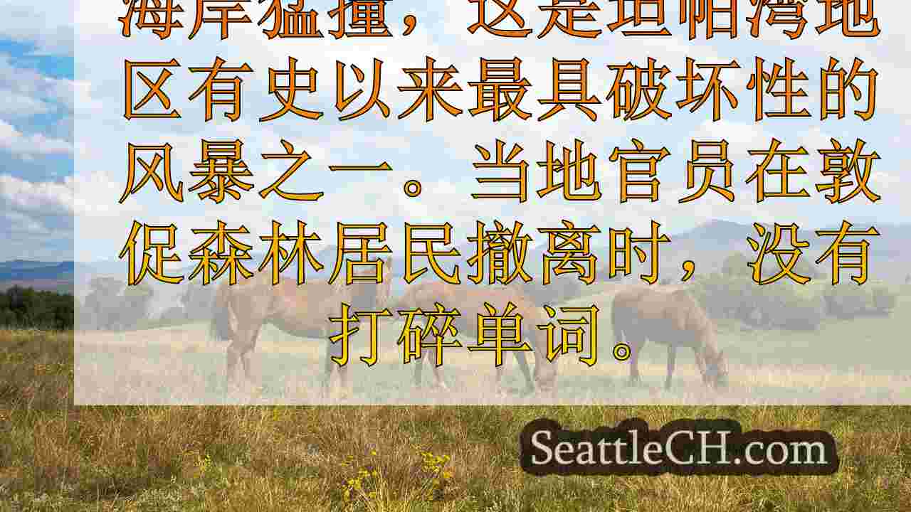 坦帕湾地区的寒冷警告米尔顿飓风前