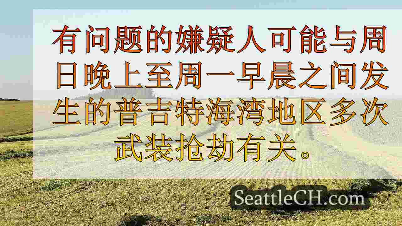 西雅图新闻 SeattleCH