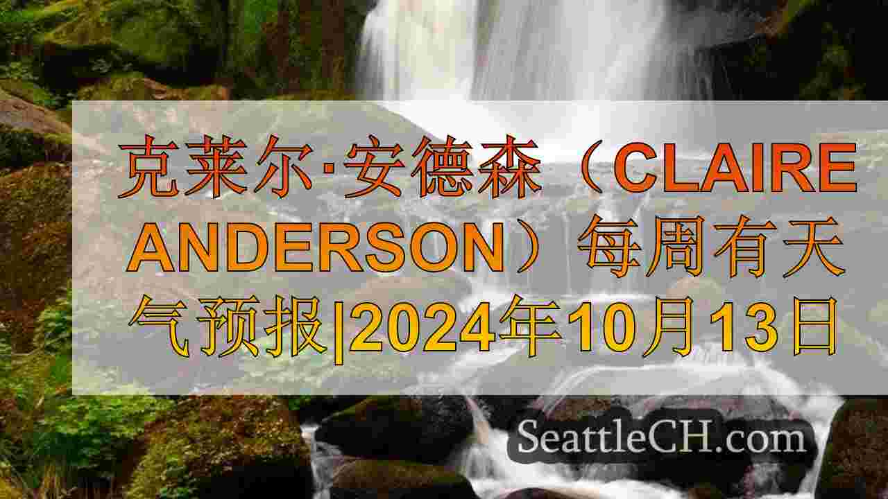 西雅图新闻 SeattleCH