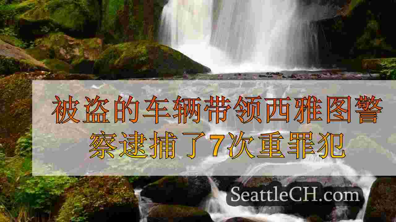西雅图新闻 SeattleCH