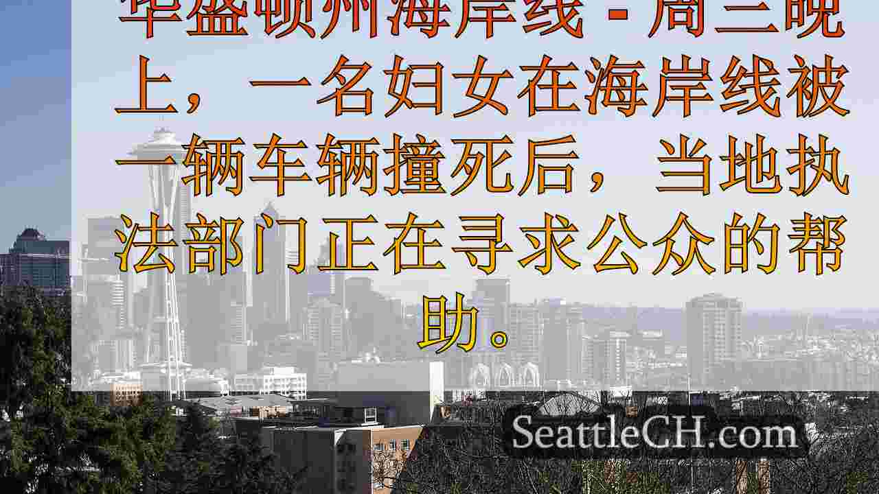 西雅图新闻 SeattleCH