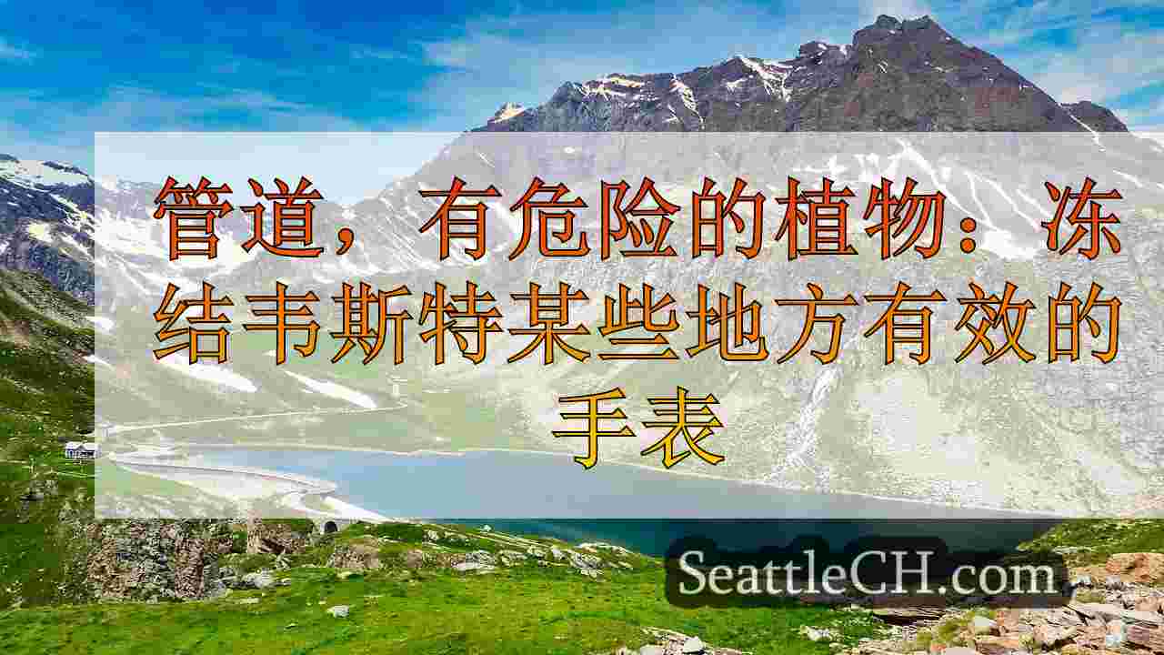 西雅图新闻 SeattleCH