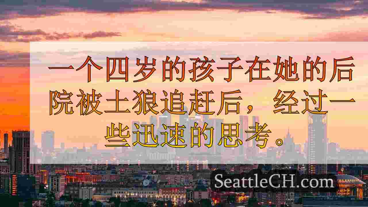 西雅图新闻 SeattleCH