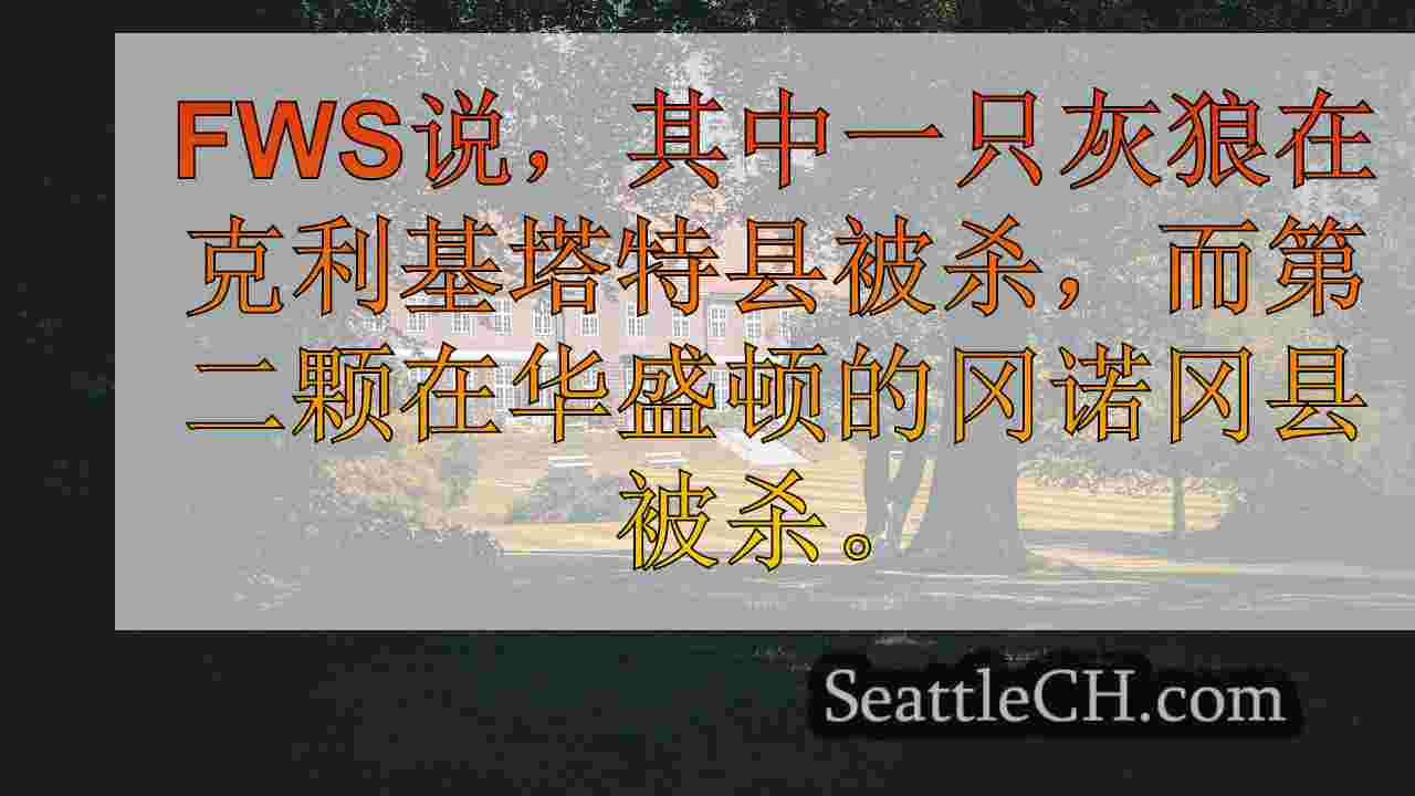 西雅图新闻 SeattleCH