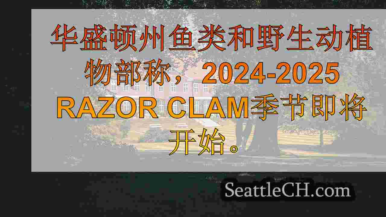 西雅图新闻 SeattleCH