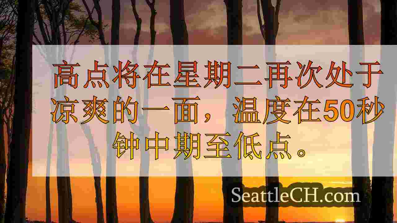 西雅图新闻 SeattleCH