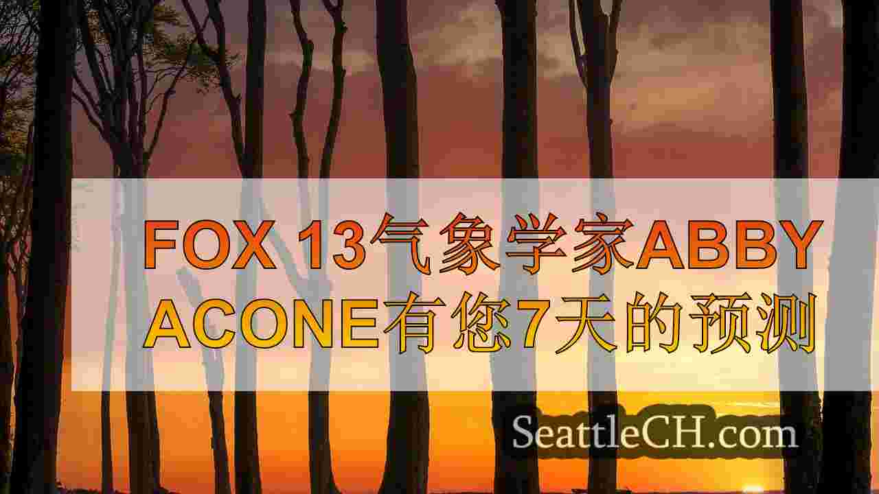 西雅图新闻 SeattleCH