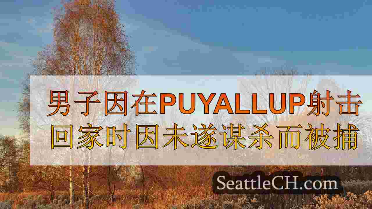 西雅图新闻 SeattleCH