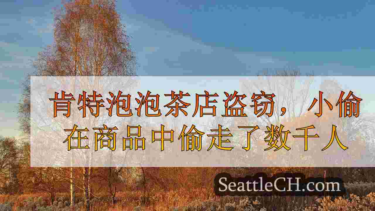 肯特泡泡茶店盗窃，小偷在商品中偷走了数千人