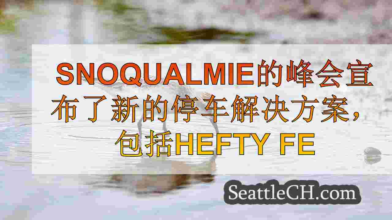 西雅图新闻 SeattleCH