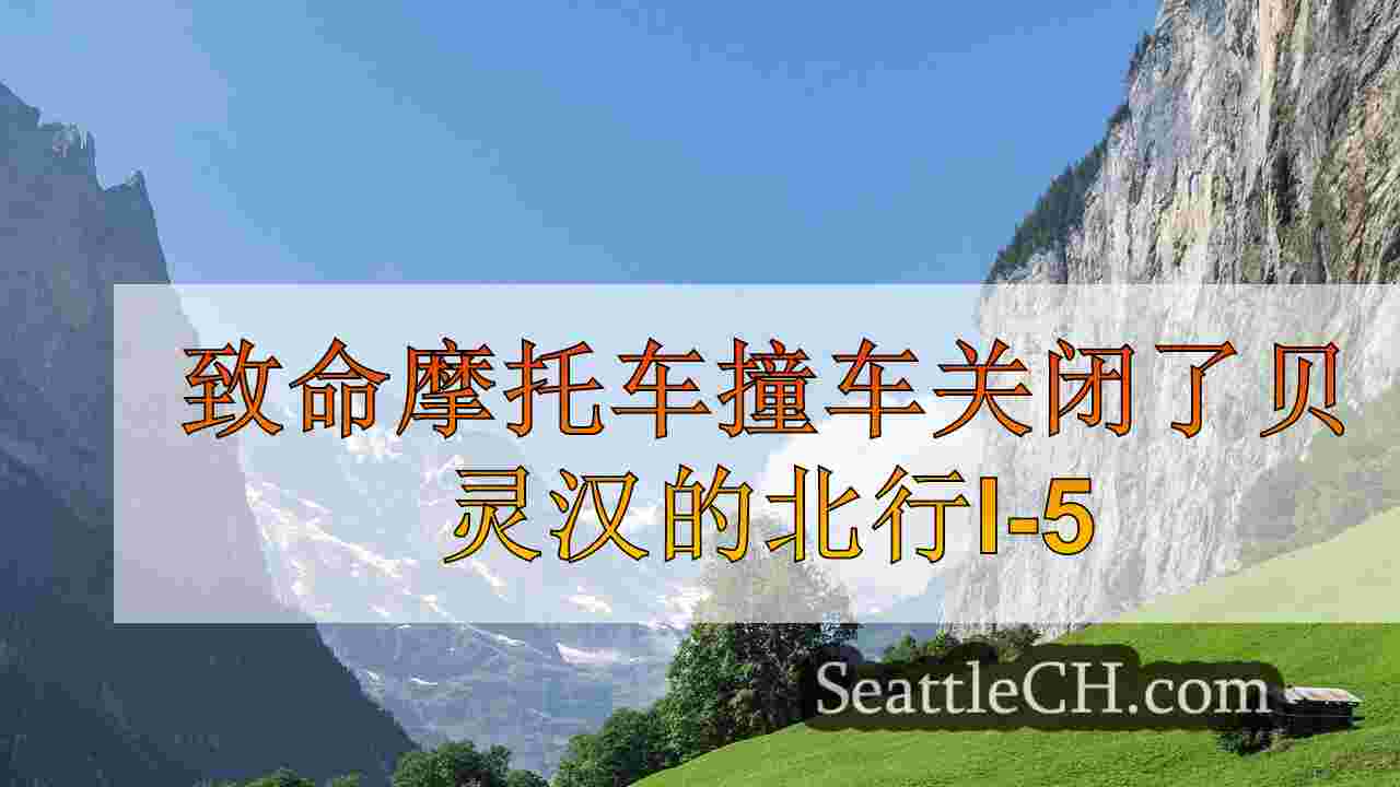 西雅图新闻 SeattleCH