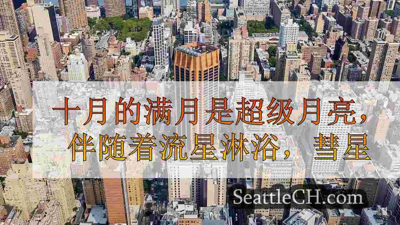 西雅图新闻 SeattleCH