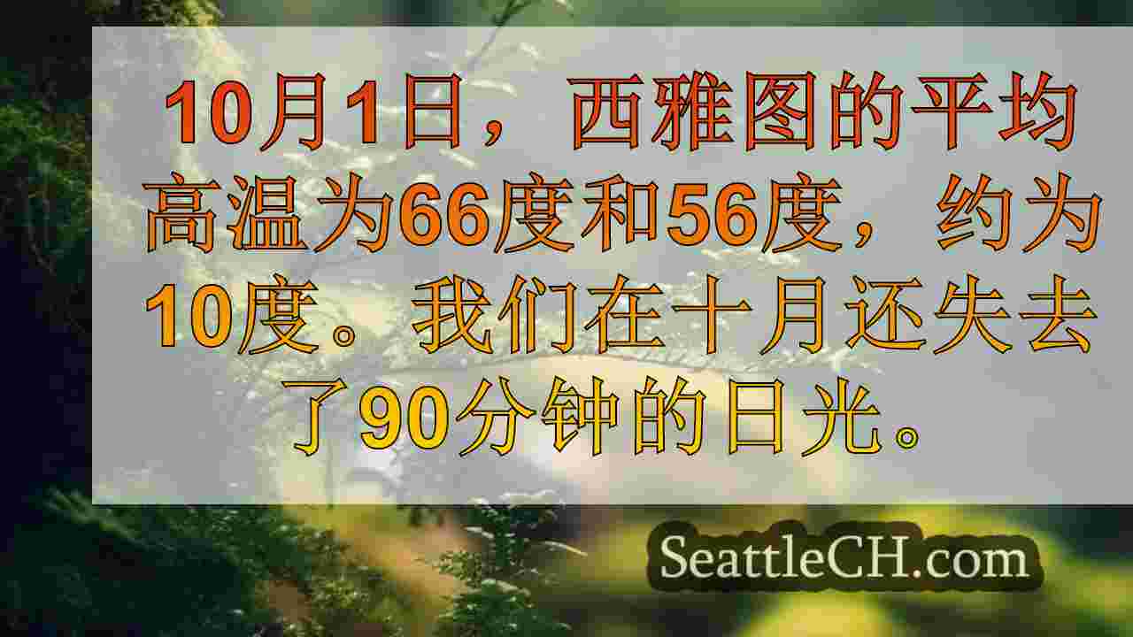 西雅图新闻 SeattleCH