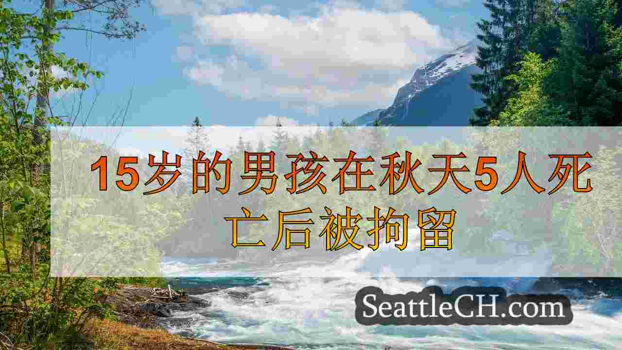 15岁的男孩在秋季家庭中有5人死亡后仍被拘留