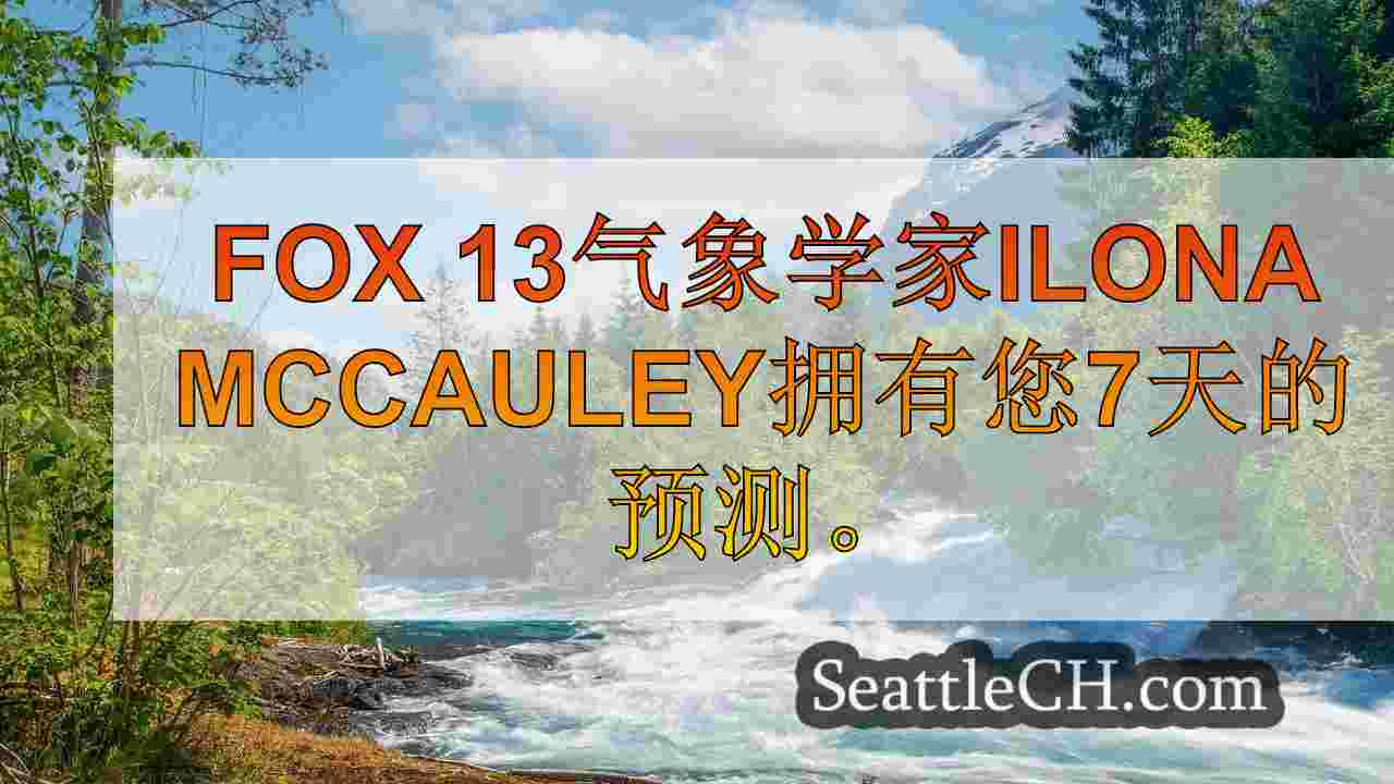 西雅图天气：一个潮湿的早晨，风吹风，周五凉爽的温度