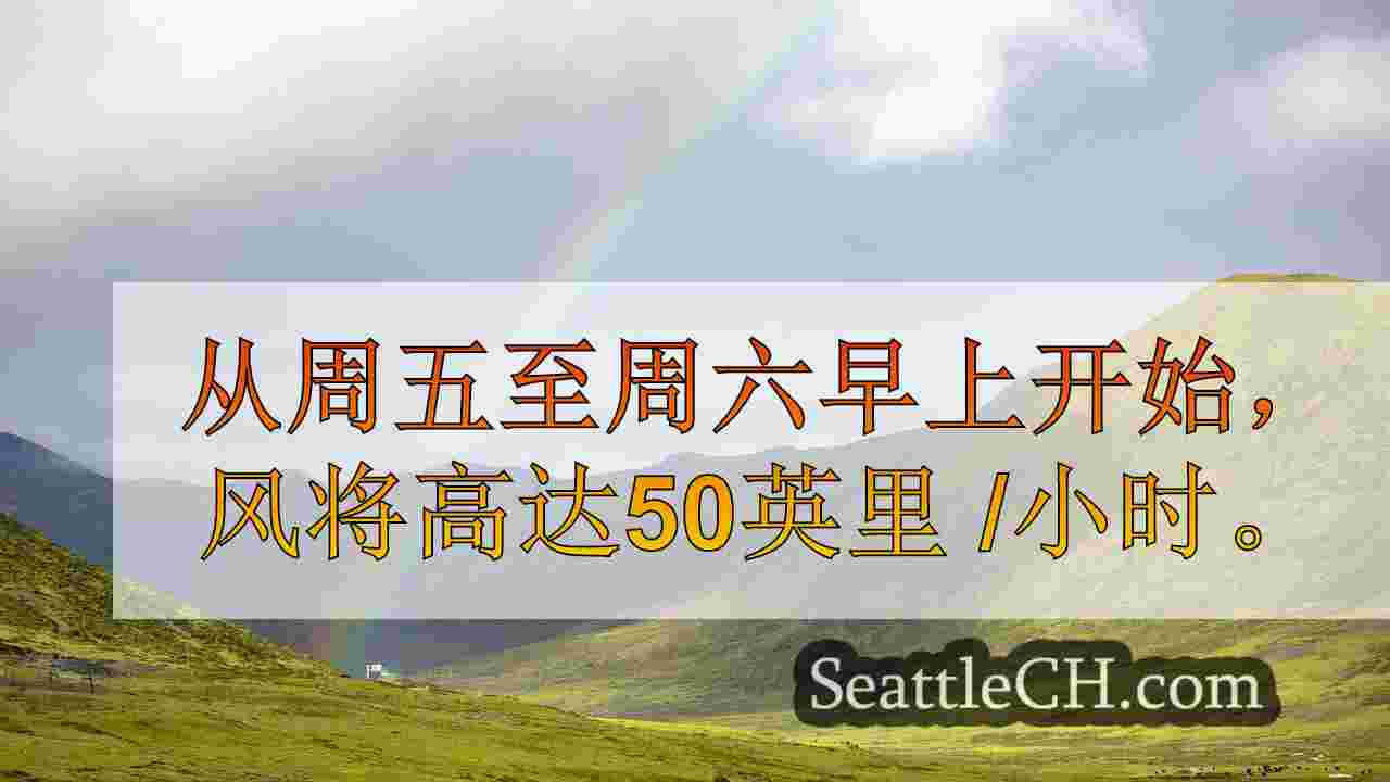 西雅图新闻 SeattleCH