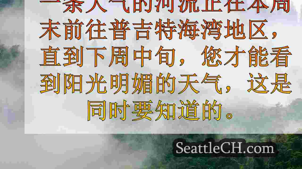 西雅图新闻 SeattleCH