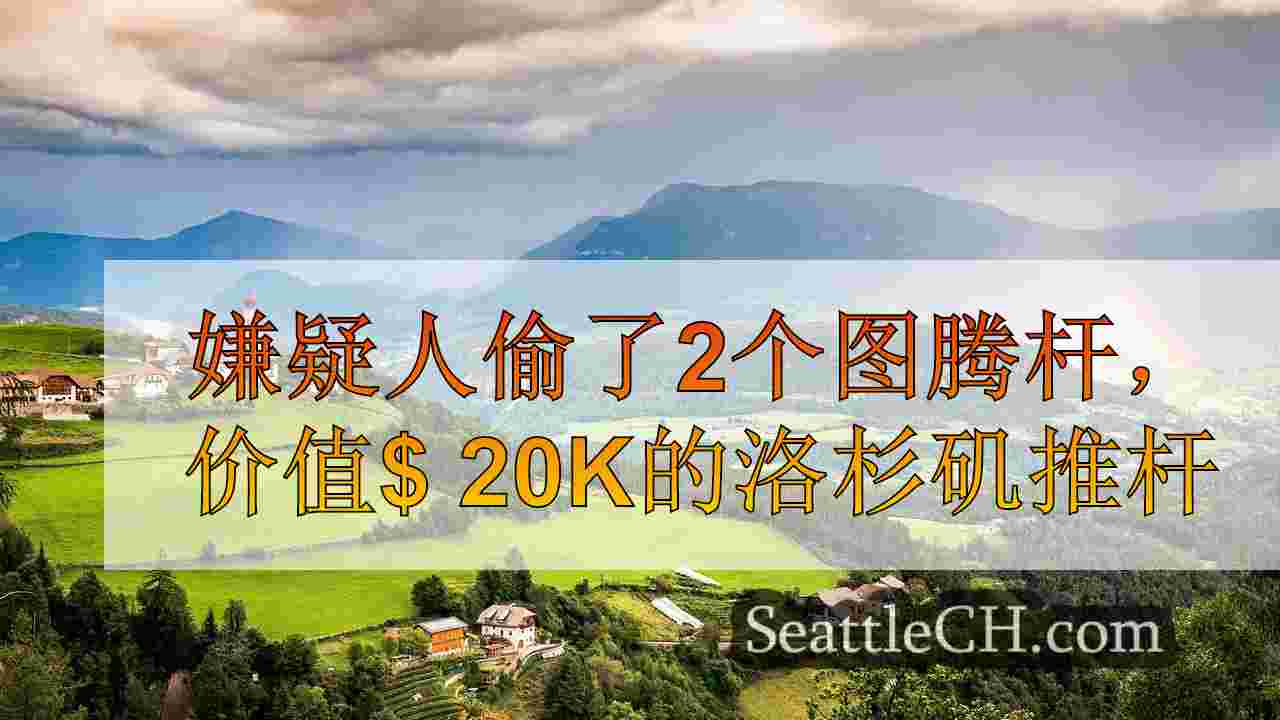 西雅图新闻 SeattleCH