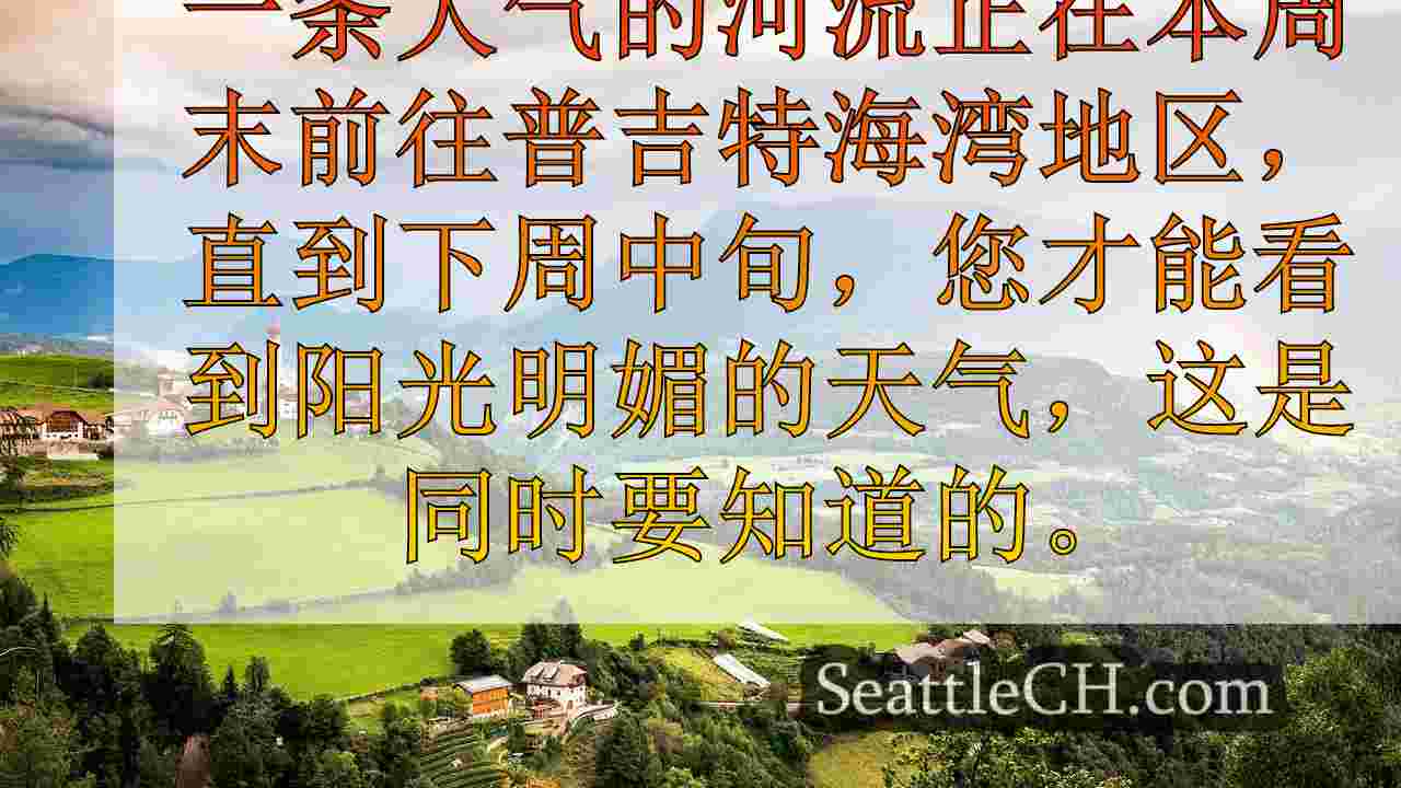 西雅图新闻 SeattleCH