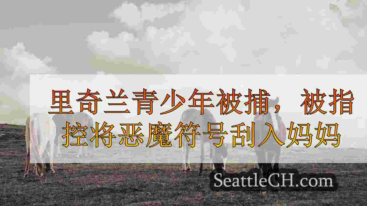 西雅图新闻 SeattleCH