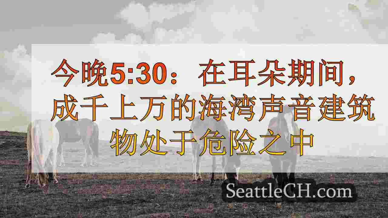 今晚5:30：地震期间成千上万的海湾声音建筑物有风险，改造昂贵