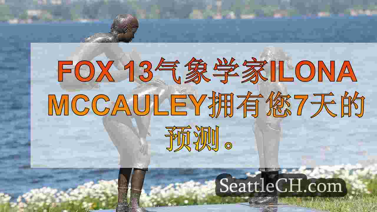 西雅图天气：周三干dry，下午通过淋浴