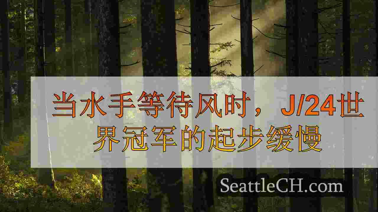 西雅图新闻 SeattleCH