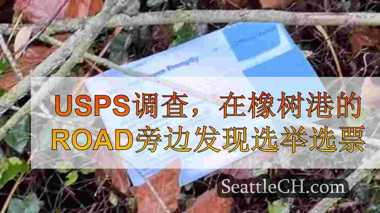 USPS调查的USPS橡树港的路并在Road旁边发现选举选票