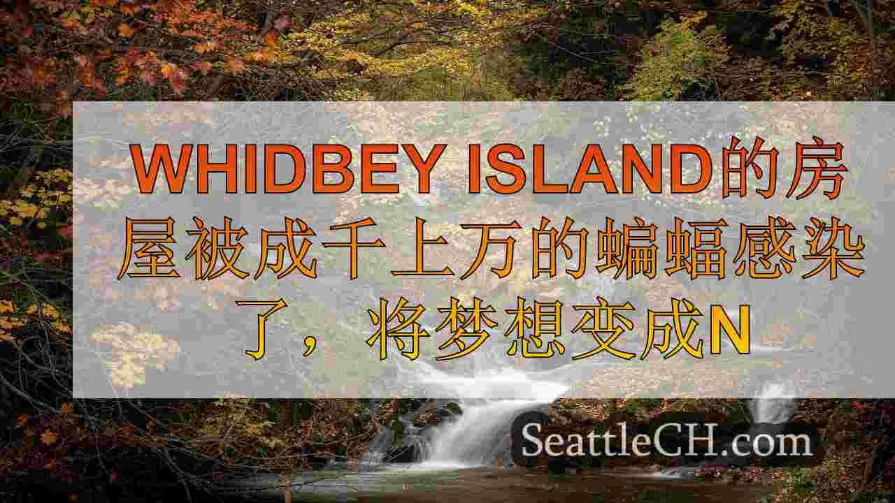 Whidbey Island的房屋被数千个蝙蝠感染了，将梦想变成噩梦