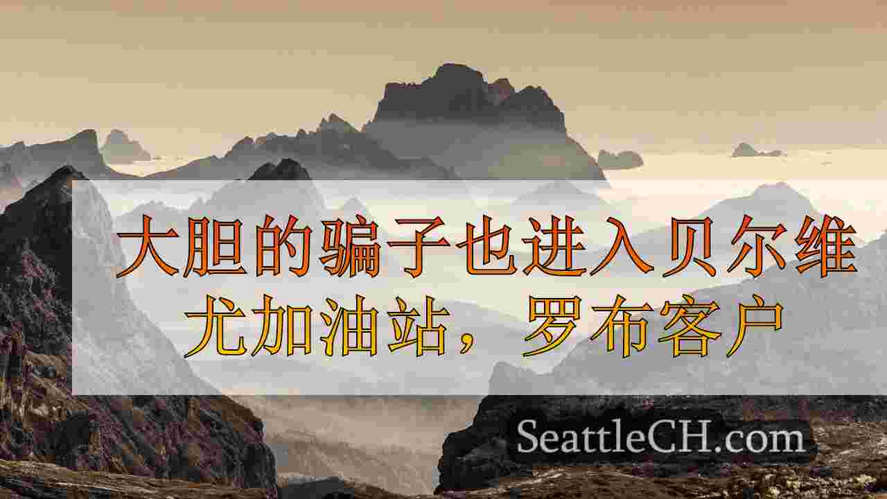 大胆的骗子也进入贝尔维尤加油站，罗布客户