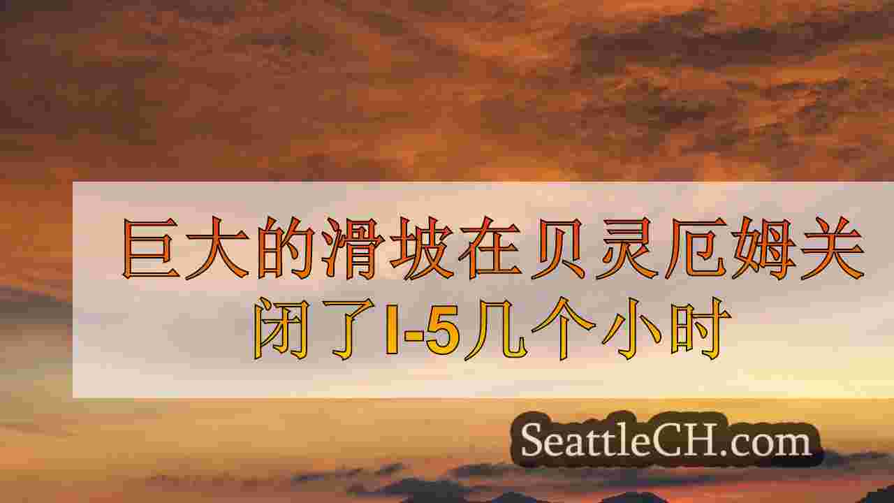 西雅图新闻 SeattleCH