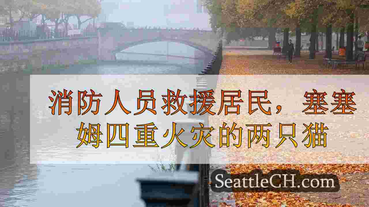 西雅图新闻 SeattleCH