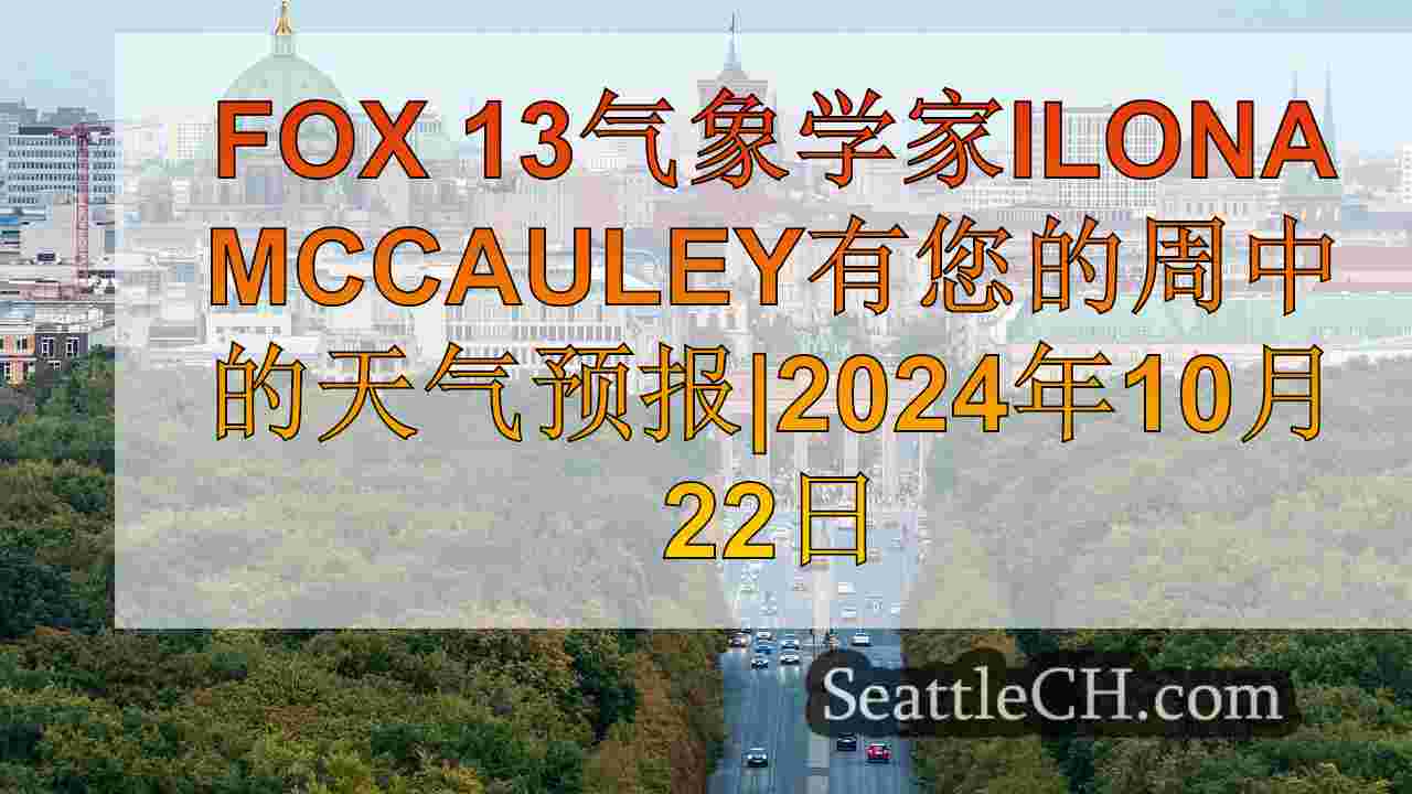 西雅图新闻 SeattleCH