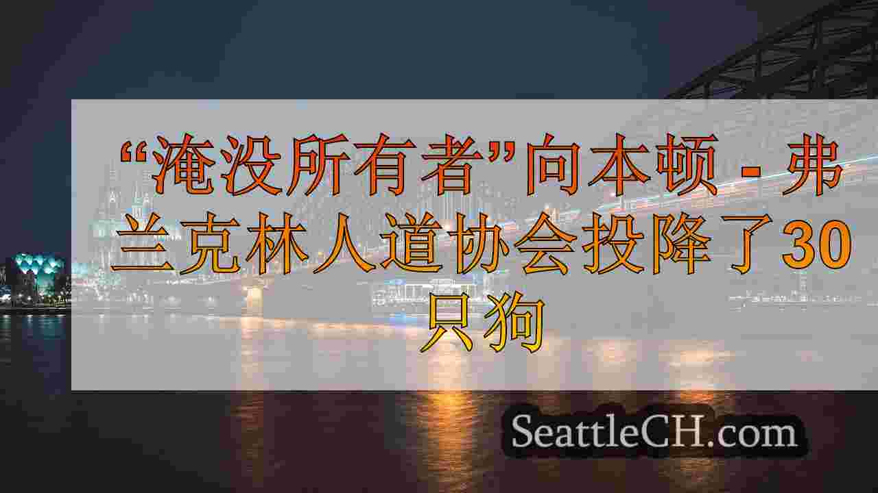 西雅图新闻 SeattleCH