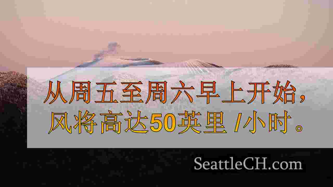 西雅图新闻 SeattleCH