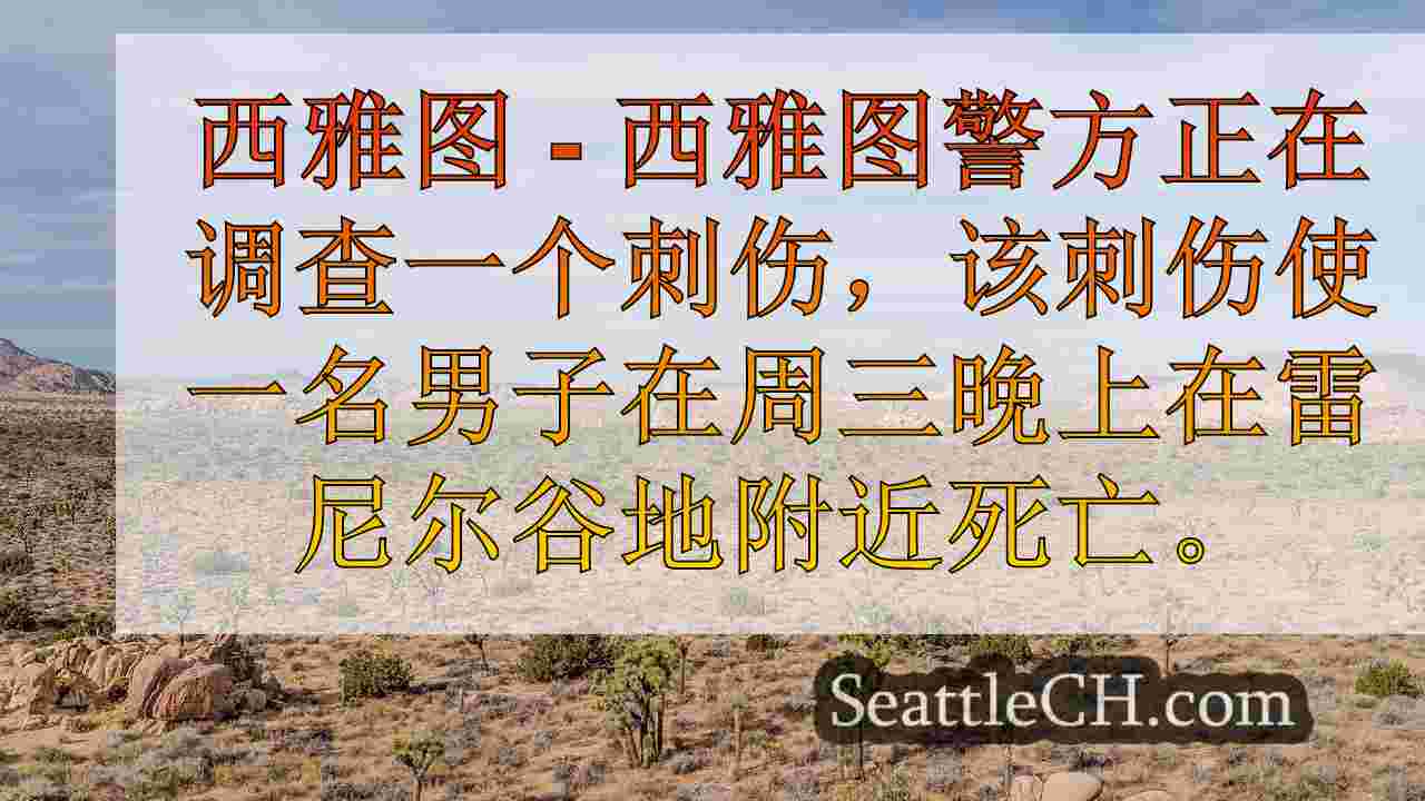 西雅图新闻 SeattleCH