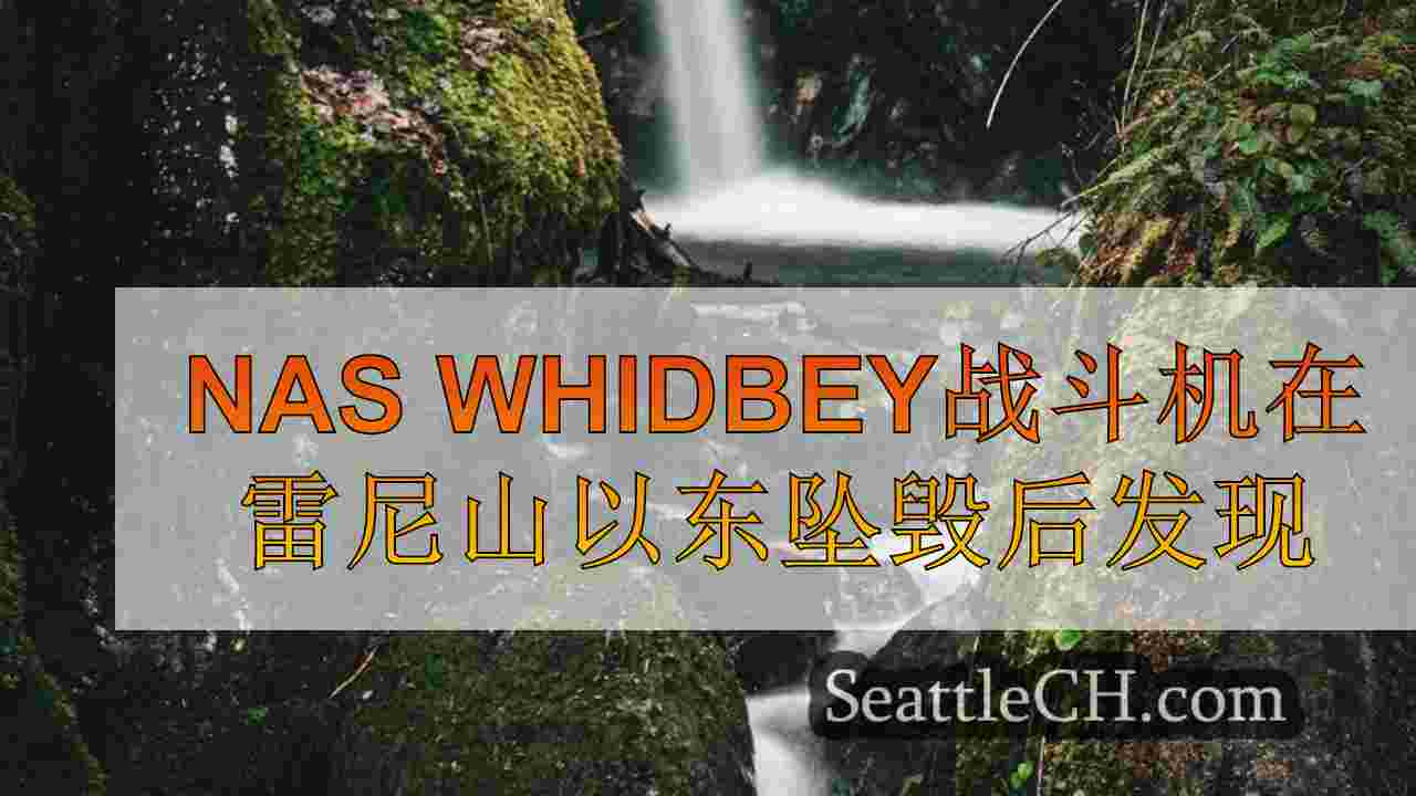 Nas Whidbey战斗机在雷尼尔山（Mount