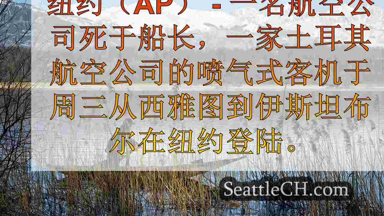 飞行员死亡土耳其航空公司的飞行，迫使紧急降落在纽约