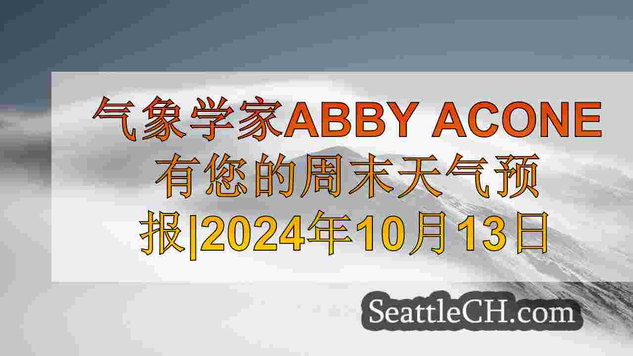 西雅图告别2024年70度天气的最后几天