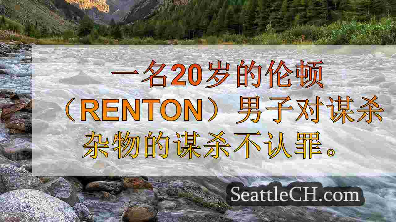 西雅图新闻 SeattleCH
