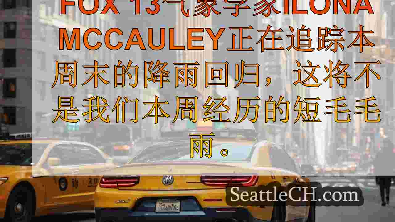 西雅图新闻 SeattleCH