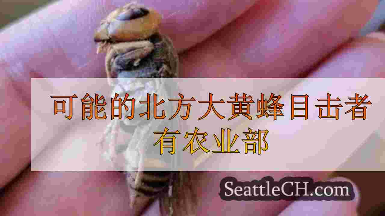 可能的北方大黄蜂目击者有农业部