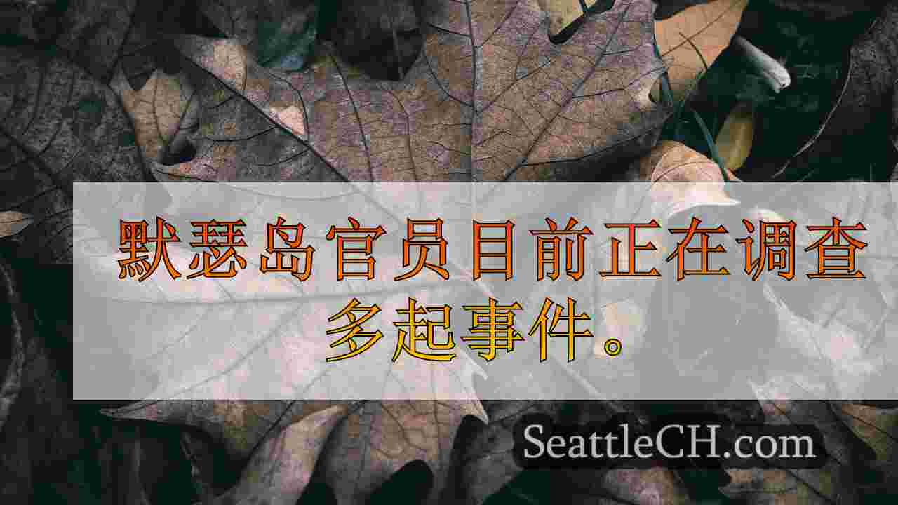 西雅图新闻 SeattleCH