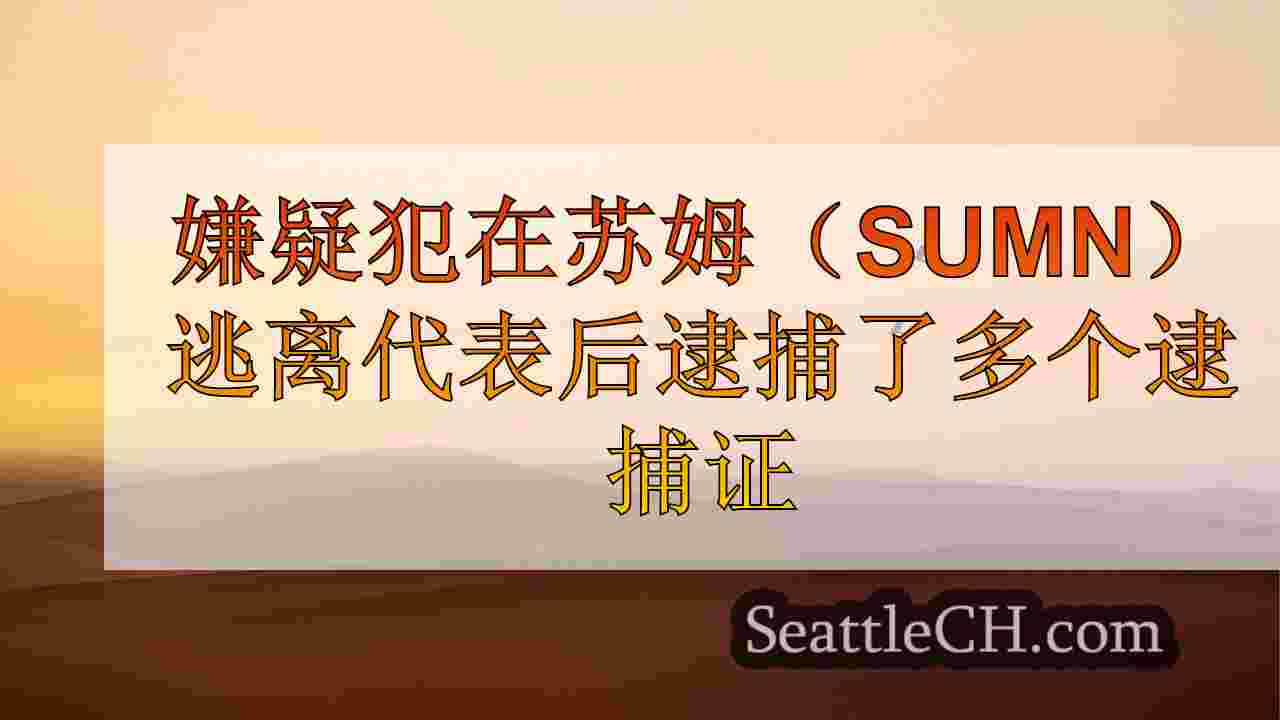 嫌疑人在萨姆纳逃离代表后被捕的多项逮捕令