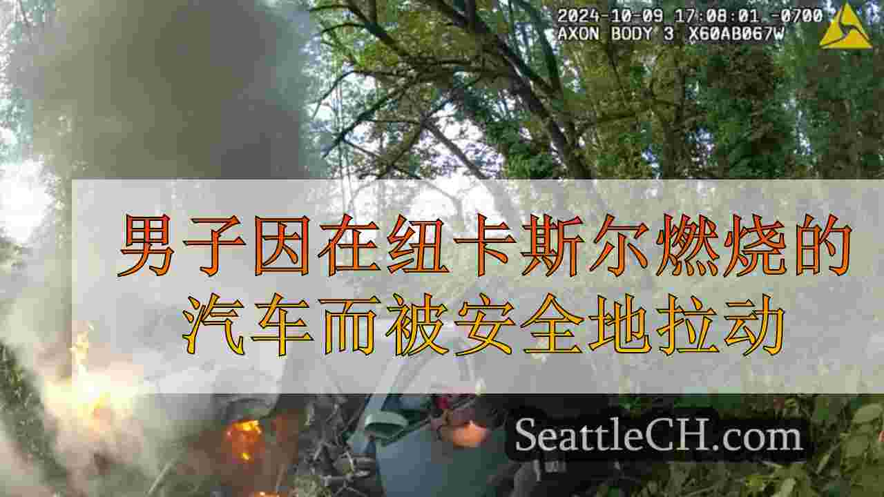 男子因在纽卡斯尔燃烧的汽车而被安全地拉动