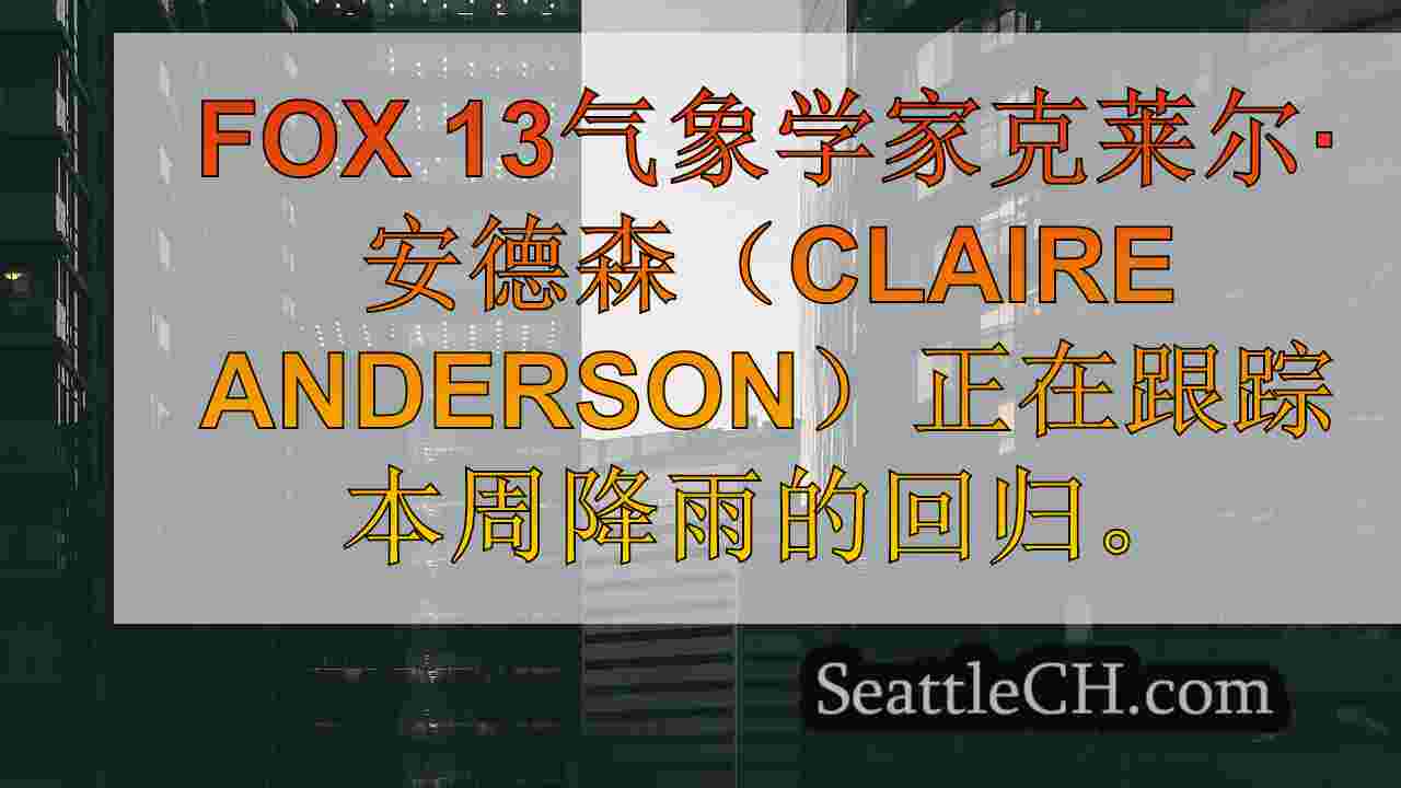 西雅图新闻 SeattleCH