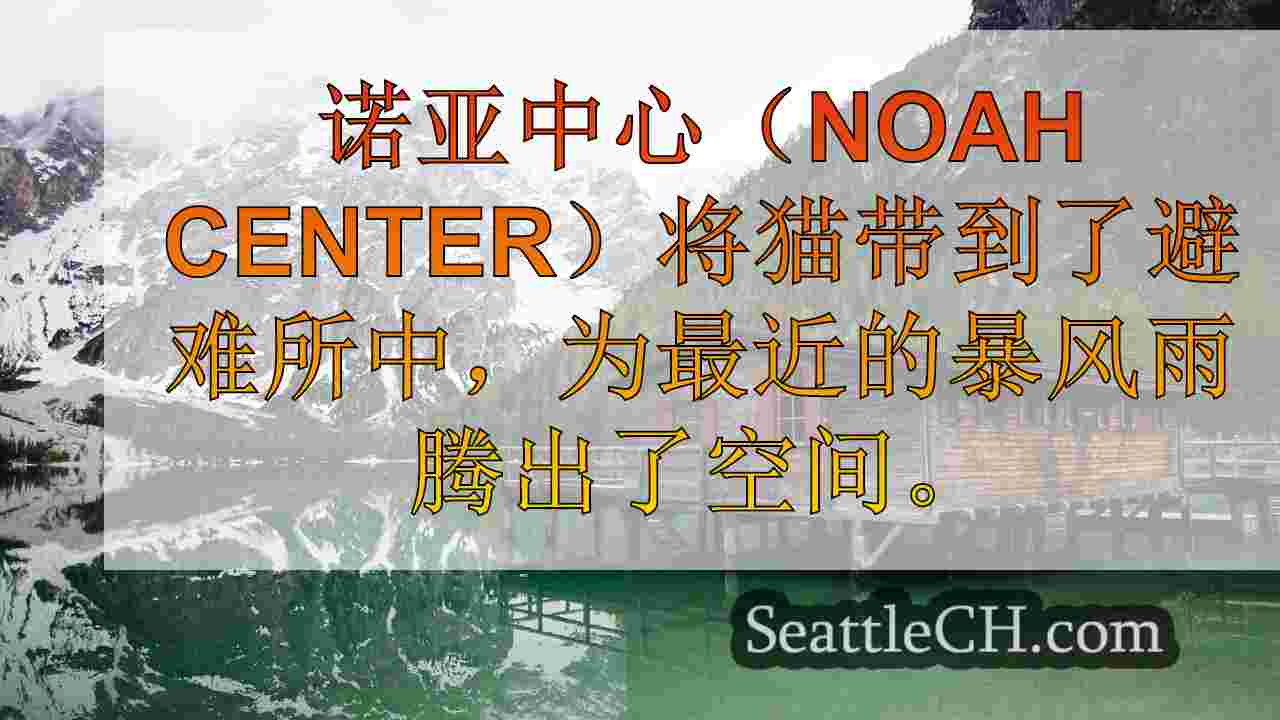 西雅图新闻 SeattleCH