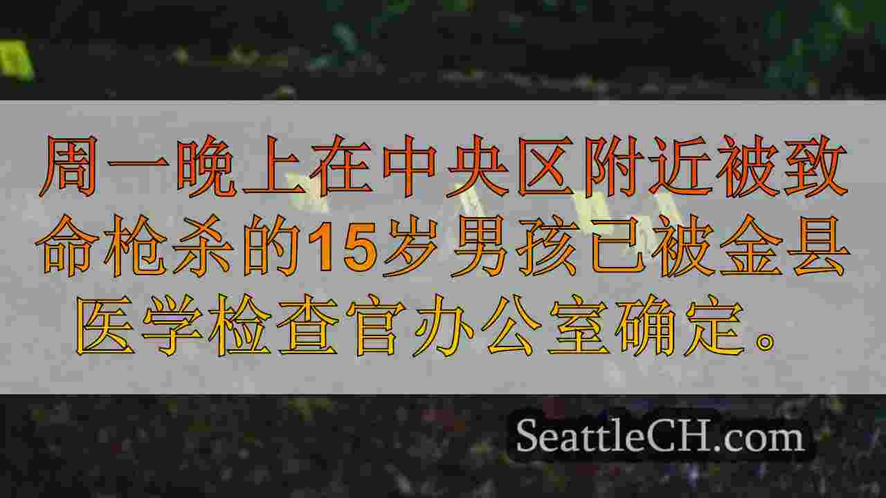 西雅图新闻 SeattleCH