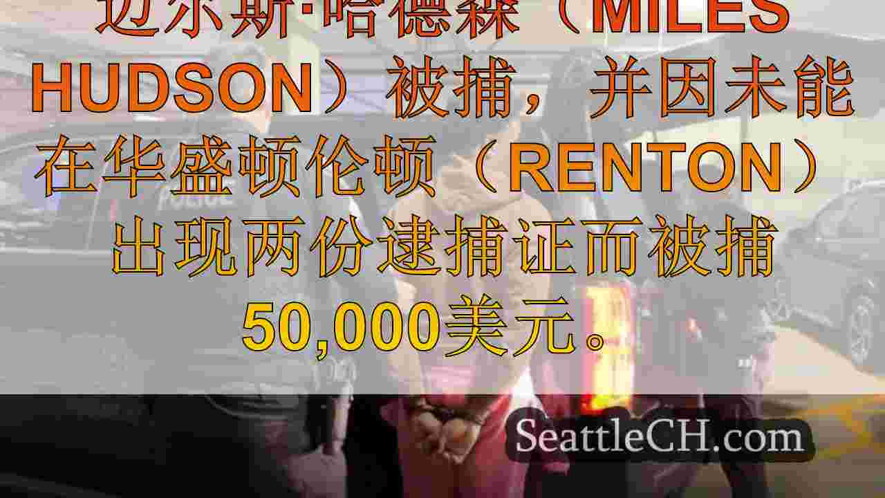 贝尔敦地狱猫（Belltown Hellcat