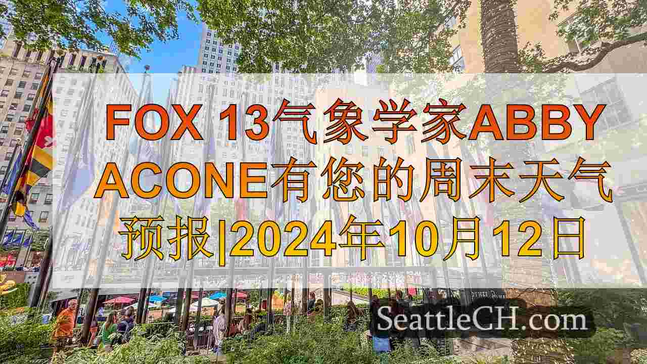 西雅图新闻 SeattleCH